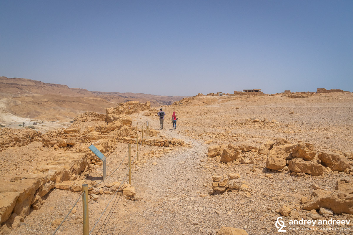 Masada fortress in May