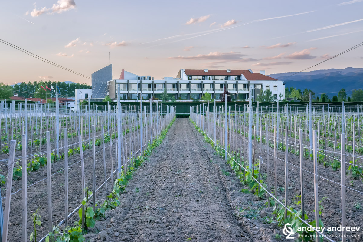 Uva Nestum Wine and Spa, Гоце Делчев